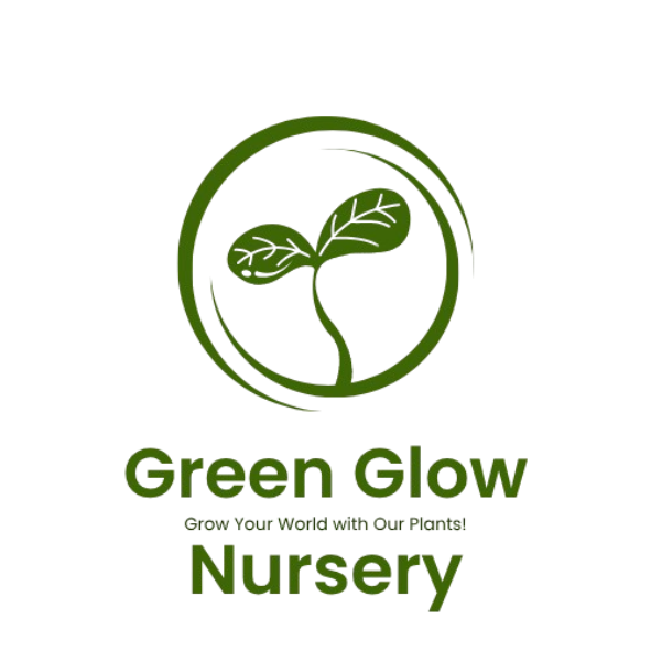 Green Glow Nursery